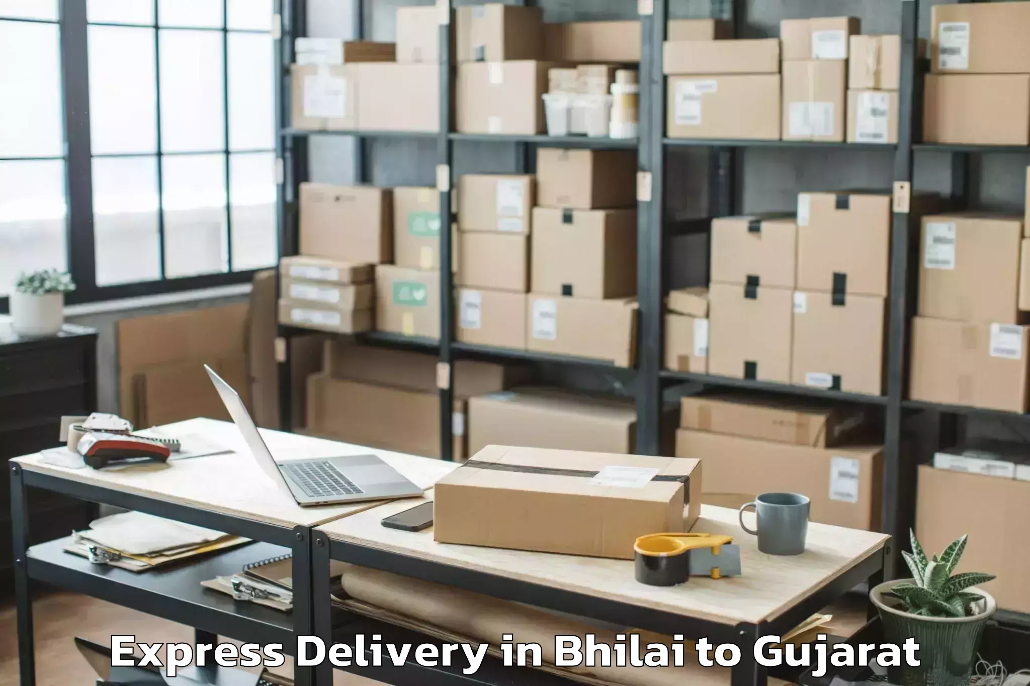 Top Bhilai to Rudra Mata Airport Bhj Express Delivery Available